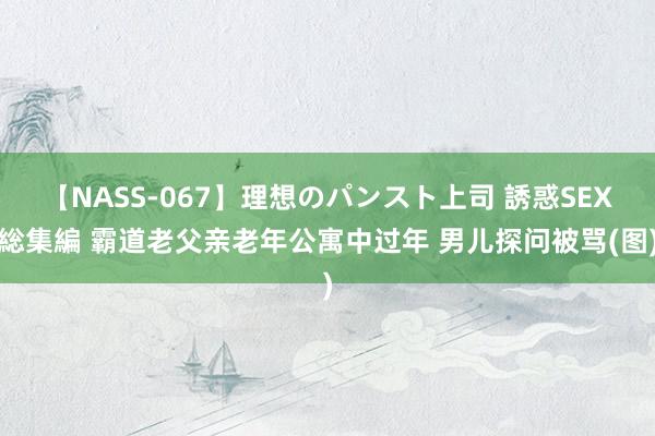 【NASS-067】理想のパンスト上司 誘惑SEX総集編 霸道老父亲老年公寓中过年 男儿探问被骂(图)