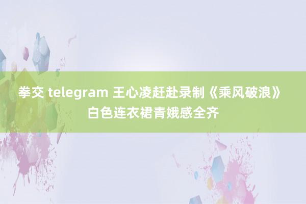 拳交 telegram 王心凌赶赴录制《乘风破浪》 白色连衣裙青娥感全齐