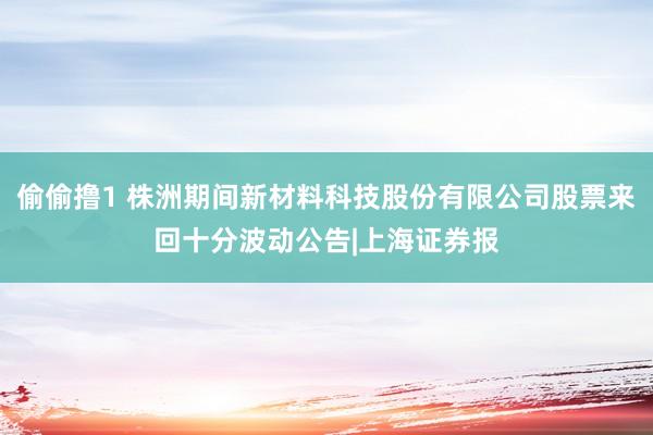 偷偷撸1 株洲期间新材料科技股份有限公司股票来回十分波动公告|上海证券报