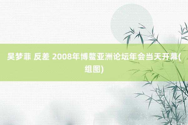 吴梦菲 反差 2008年博鳌亚洲论坛年会当天开幕(组图)