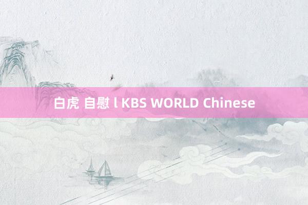 白虎 自慰 l KBS WORLD Chinese