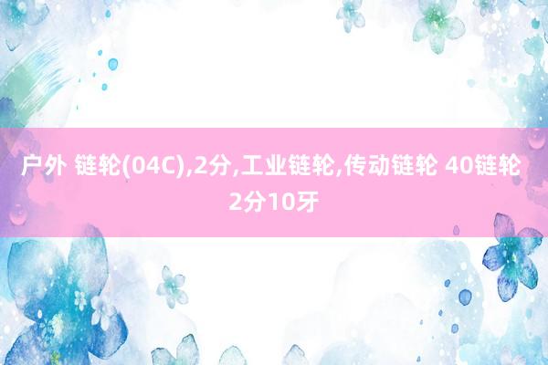 户外 链轮(04C)，2分，工业链轮，传动链轮 40链轮 2分10牙