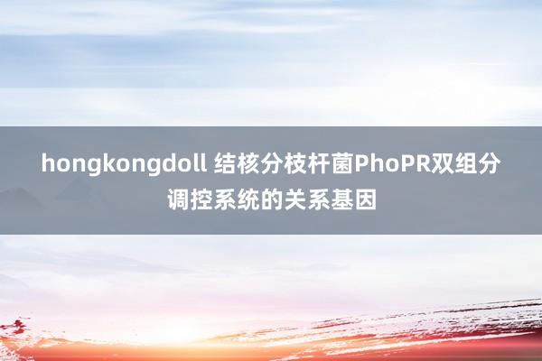 hongkongdoll 结核分枝杆菌PhoPR双组分调控系统的关系基因