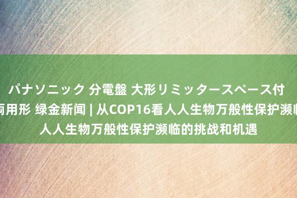 パナソニック 分電盤 大形リミッタースペース付 露出・半埋込両用形 绿金新闻 | 从COP16看人人生物万般性保护濒临的挑战和机遇