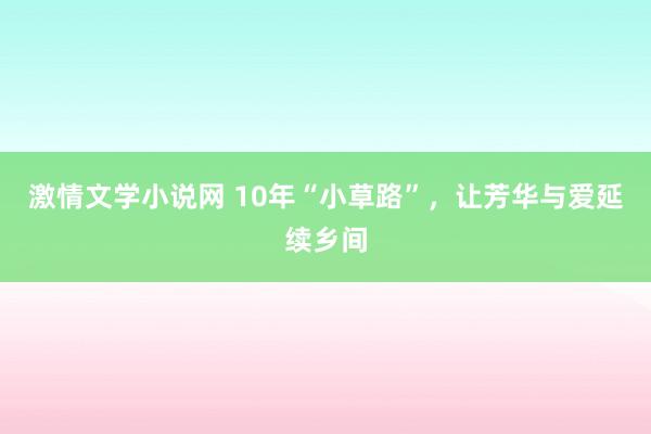 激情文学小说网 10年“小草路”，让芳华与爱延续乡间