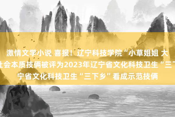 激情文学小说 喜报！辽宁科技学院“小草姐姐 大树哥哥”寻梦支教社会本质技俩被评为2023年辽宁省文化科技卫生“三下乡”看成示范技俩