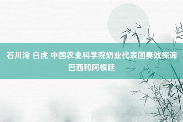 石川澪 白虎 中国农业科学院奶业代表团奏效探询巴西和阿根廷